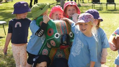 Indigenous dance, song program for preschoolers inspires koala conservation