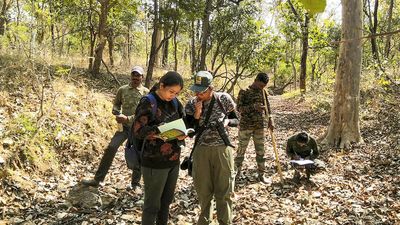 Pench Tiger Reserve starts dairy project in buffer zone to reduce pressure on forest areas