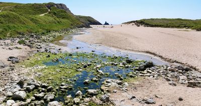 The stunning walk through lilyponds that takes you to one of Wales’ best beaches