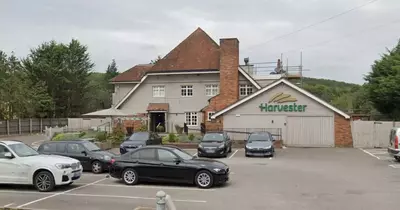 Bristol Harvester diner claims fish in pond were 'floating upside down and gasping'