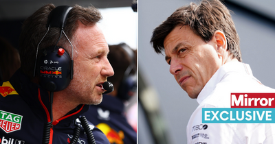 Christian Horner honest about Red Bull's Mercedes rivalry and F1's "necessary evil"