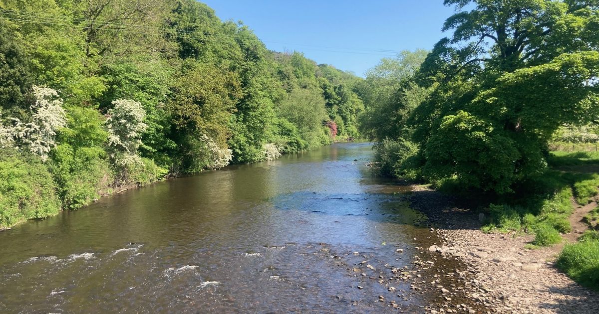 Greater Manchester's Huge Hidden Beauty Spot Has…