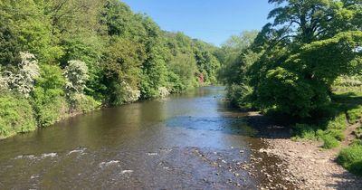 Greater Manchester's huge hidden beauty spot has beautiful meadow, walled gardens, ancient woods and wedding chapel