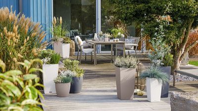 What are self-watering planters and how do they work? Garden experts discuss their benefits