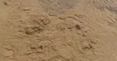 Strange bubbles seen oozing from sand on beach as public urged to stay away