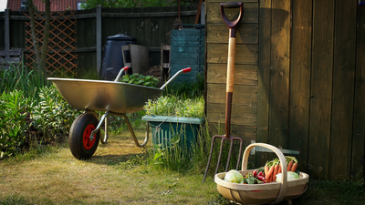 5 essential garden gadgets I can't live without