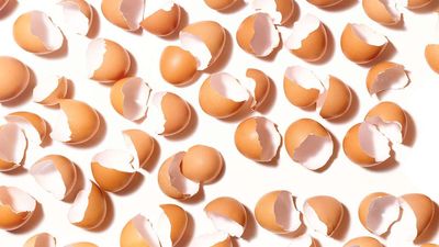 No, Corporate Greed Didn't Cause the 2023 Egg Price Shock