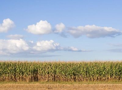 Sunday Scaries: What I'm Watching This Week In The Grain Markets