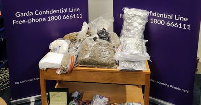 Gardai seize €182,000 worth of drugs in Tallaght