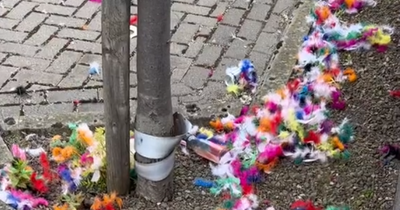 Grim photos show Edinburgh streets littered with feathers a week after Harry Styles gig