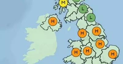 Pollen bomb to hit the south west for next 5 days