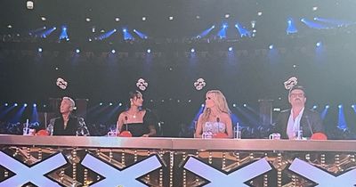 ITV's Britain's Got Talent final leaves viewers furious just seconds in after wildcard reveal