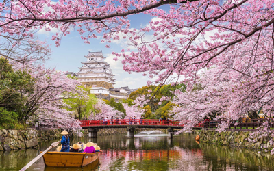 Social media snaps map the sweep of Japan’s cherry blossom season in unprecedented detail