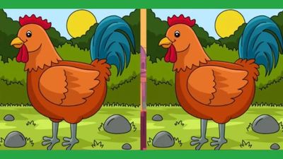 Find the difference: Can you spot THREE differences within 15 seconds?