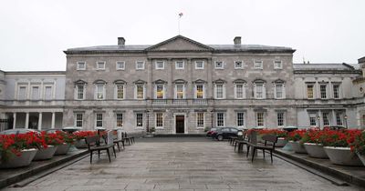 Teenager who broke into Leinster House targeted rare copy of 1916 proclomation