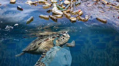Ten statistics on global plastic addiction and its consequences