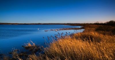 Green Party's concerns at ‘200,000 tonnes of raw sewage’ abandoned in Lough Neagh