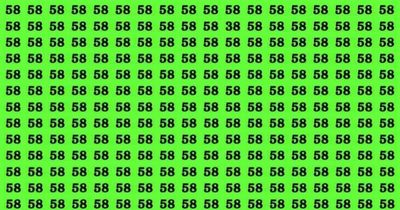 You're a true genius if you can spot the number 38 buried in sea of 58s in 10 seconds