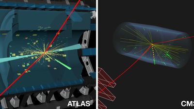 Explained | The decade-long search for a rare Higgs boson decay