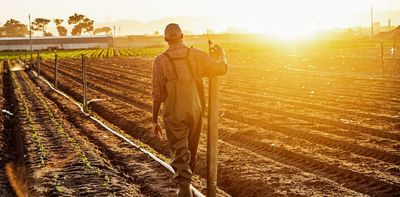 Farming in South Africa is being hobbled by power cuts and poor roads. Rural towns are being hit hardest