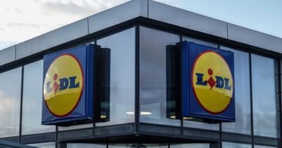 Lidl shoppers do double take at ‘insect burgers’ for sale in Irish supermarkets