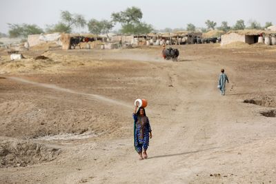 Amnesty calls for global action to mitigate heatwaves in Pakistan