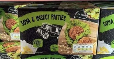 Lidl Ireland's new 'insect burgers' divides opinions