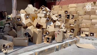 Adulterated cider kills 16 in Russia, dozens sick