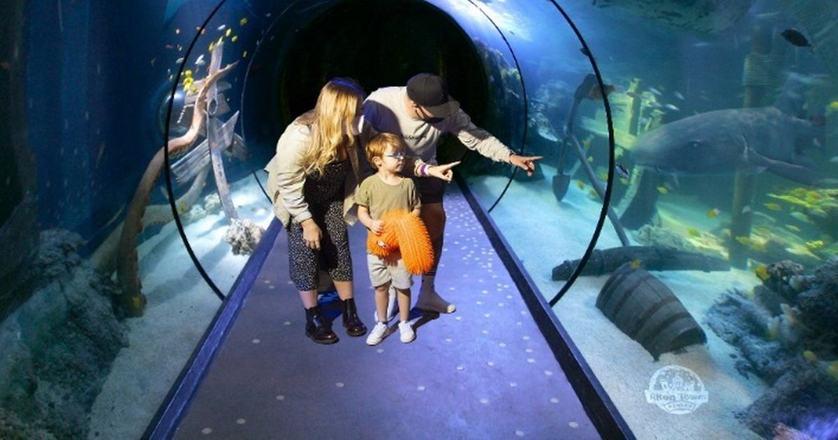 Alton Towers brings back Parent and Toddler pass for…