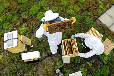 LOCALIZE IT: Federal government promoting honeybee health through onsite hives
