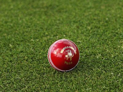 United Arab Emirates vs West Indies LIVE: Cricket score and updates from West Indies in United Arab Emirates 2023