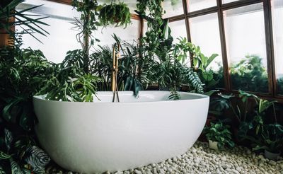 It's a simple and inexpensive trick and will make your houseplants so much happier - how to get the humidity level right