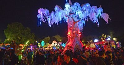 Glastonbury 2023 to host new immersive area near 22m high 'rave tree'