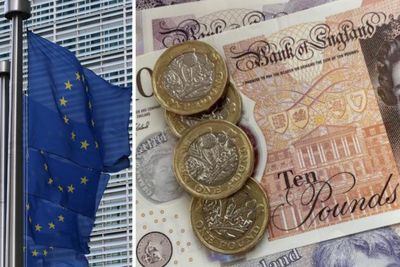 Expert issues warning over SNP's currency plans and EU membership