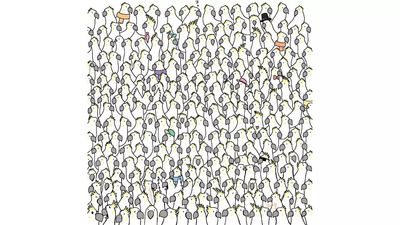 There are 4 doves hidden among these cockatoos; we challenge you to find them in 4 seconds