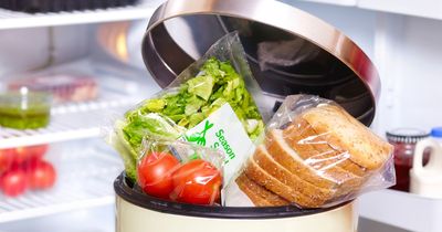 Warning recycling food waste in Northumberland will be a "massive undertaking"