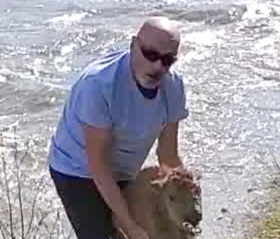 Tourist pleads guilty to moving Yellowstone baby bison from river: ‘It was begging for help’