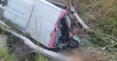 School bus driver killed in crash with escaped camels which also died in horror smash