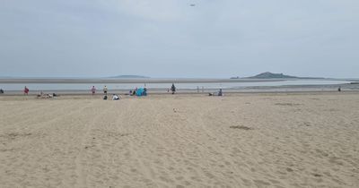 Garda patrols on busy Summer days needed on Dublin's beaches