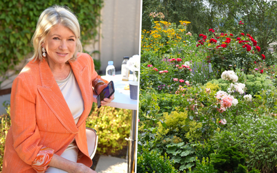 Martha Stewart gives a 'chaotic' cottage garden masterclass – our garden expert explains how to plant yours