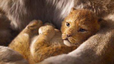 The Lion King could become a Star Wars-esque saga, according to Disney
