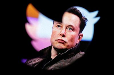 Elon Musk promotes transphobic content as hate speech surges on his far-right platform