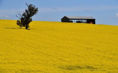 Drier conditions to shrink agricultural production