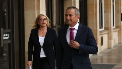 Roger Cook, Rita Saffioti endorsed by WA Labor as premier and deputy, with David Michael joining cabinet