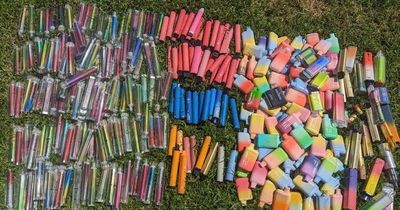 Frightening levels of disposable vapes litter reinforces need for ban