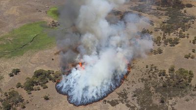 Defence helicopter pilot denies failure to alert authorities to Orroral Valley bushfire was due to fear of tarnishing military's reputation