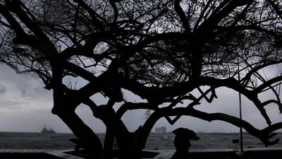 Depression over Arabian Sea likely to intensify into cyclonic storm: IMD