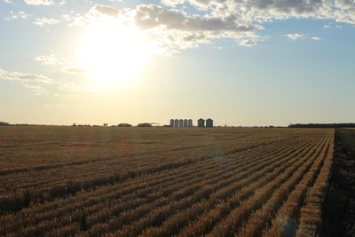 Australia weather forecaster puts chance of El Nino in 2023 at 70%