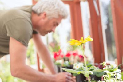 7 great gardening gifts for dads this Father’s Day