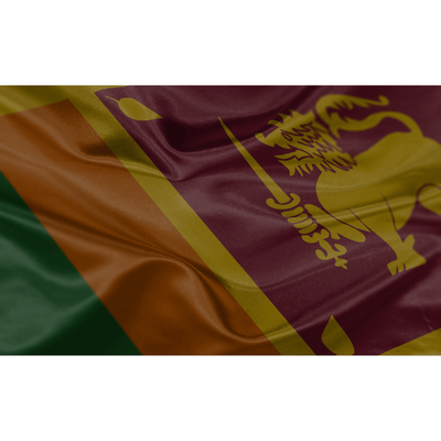 Sri Lanka’s Economic Collapse: A Timeline